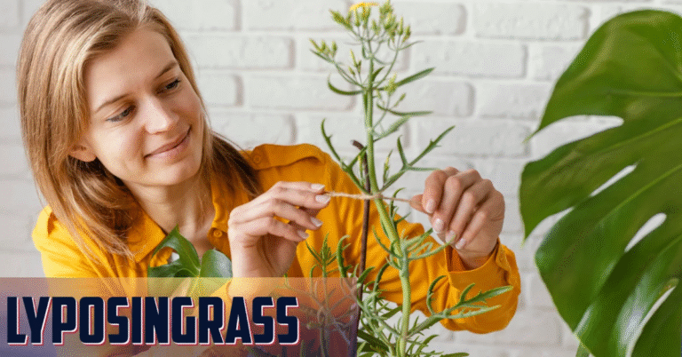 Discovering Lyposingrass: The Green Marvel You Need to Know About
