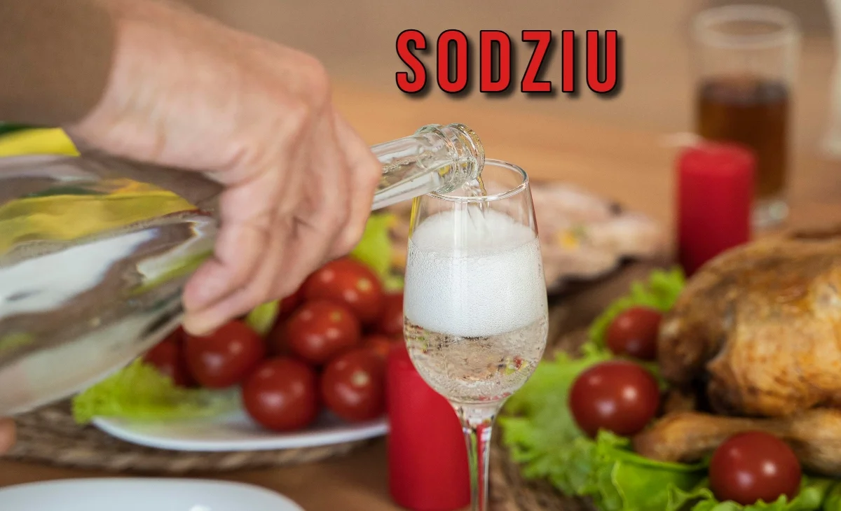 Exploring Sodziu A Hidden Gem of Culture and Nature