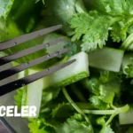 Discovering Pravi Celer: The Nutritional Powerhouse You Need in Your Diet