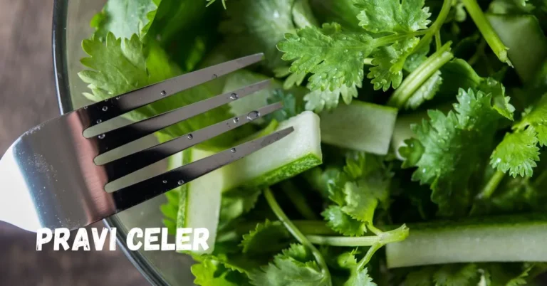 Discovering Pravi Celer: The Nutritional Powerhouse You Need in Your Diet