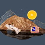 TheStoogelife Uncovered What It Means to Embrace the Quirky Journey