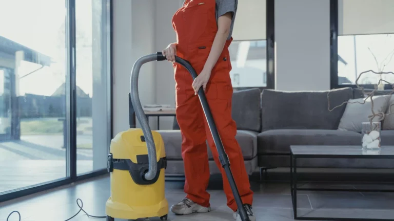 Deep Cleaning Pros