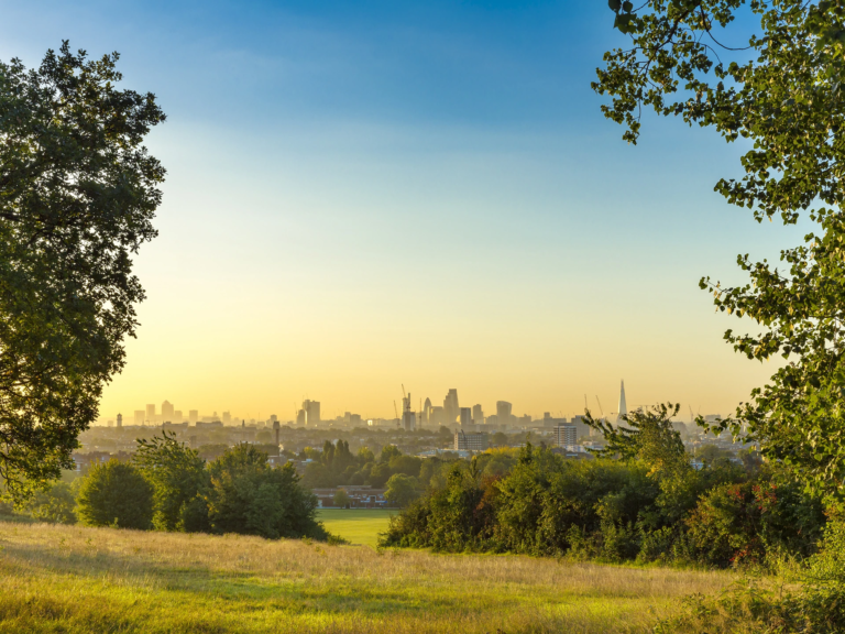 Britain’s Top 4 Most Hazardous Urban Trees